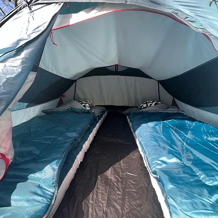 The Esn Kingsday Campsite อัมสเตอร์ดัม ภายนอก รูปภาพ